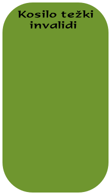  Kosilo težki
    invalidi

